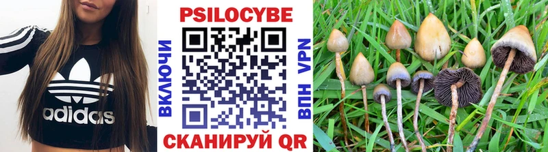 Галлюциногенные грибы Magic Shrooms  Зарайск 